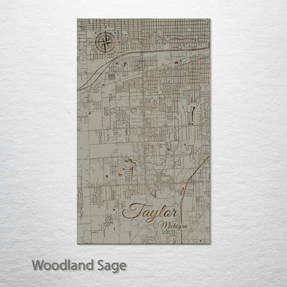 Taylor, Michigan Street Map