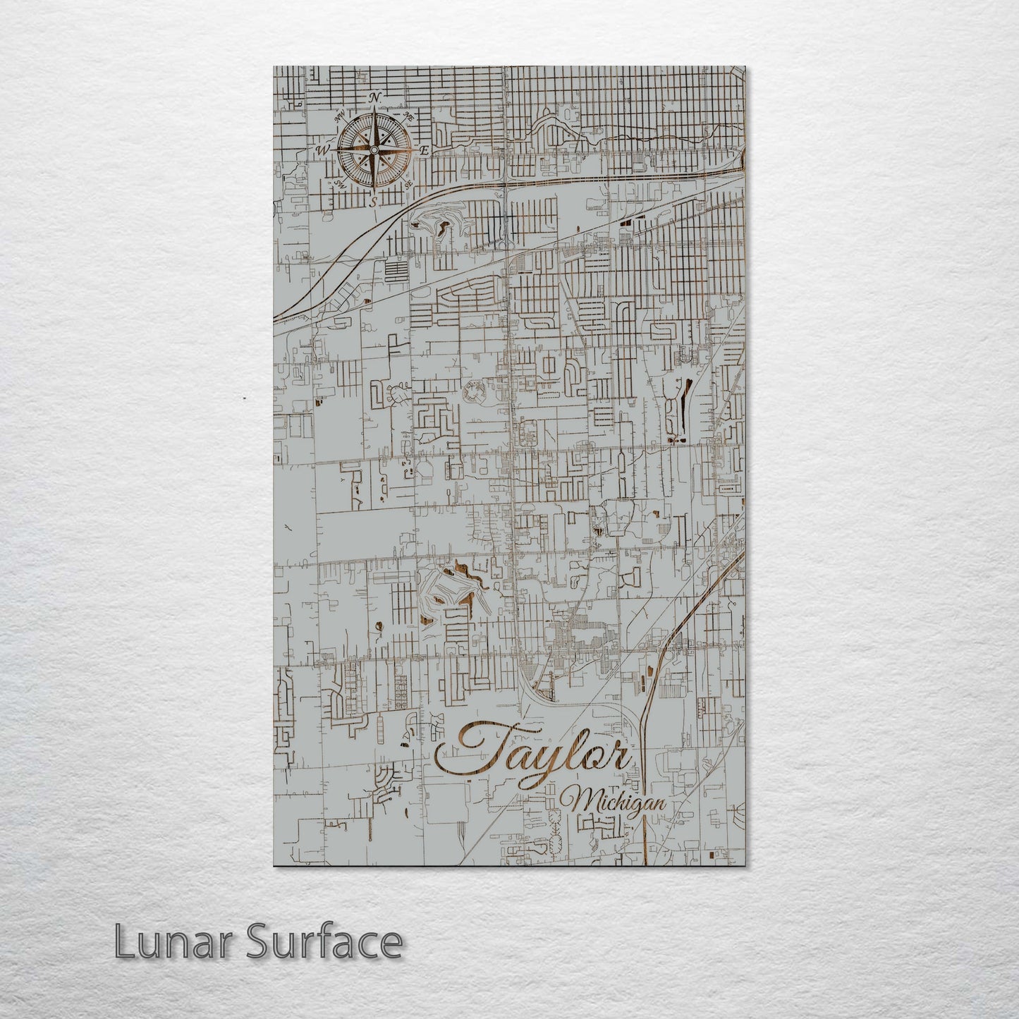 Taylor, Michigan Street Map