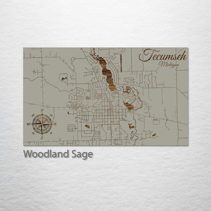 Tecumseh, Michigan Street Map