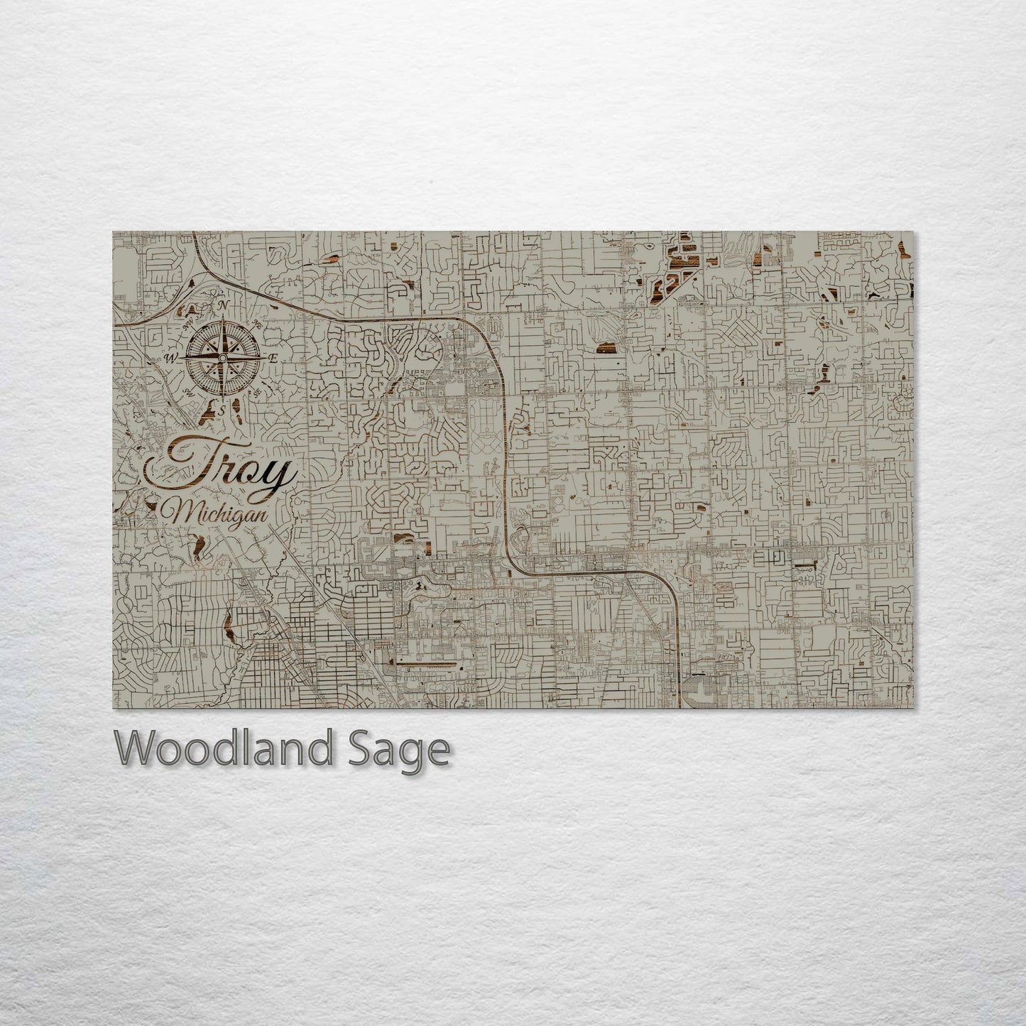 Troy, Michigan Street Map