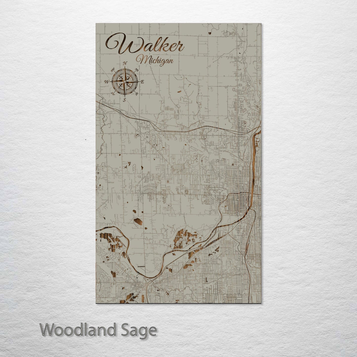 Walker, Michigan Street Map