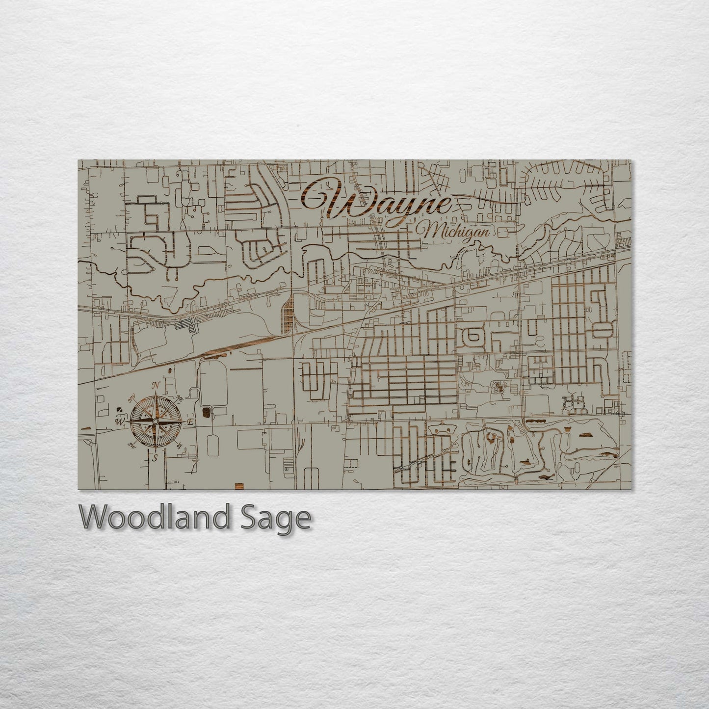 Wayne, Michigan Street Map