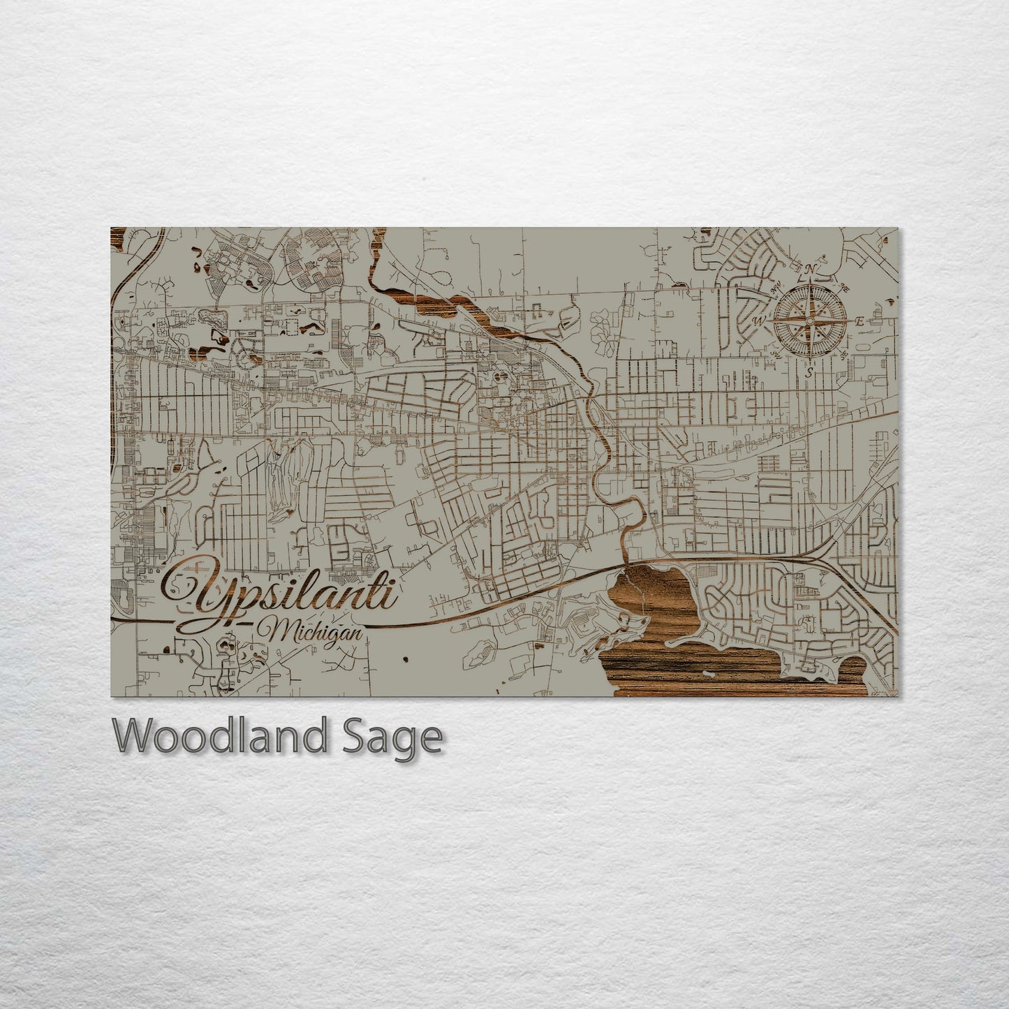 Ypsilanti, Michigan Street Map