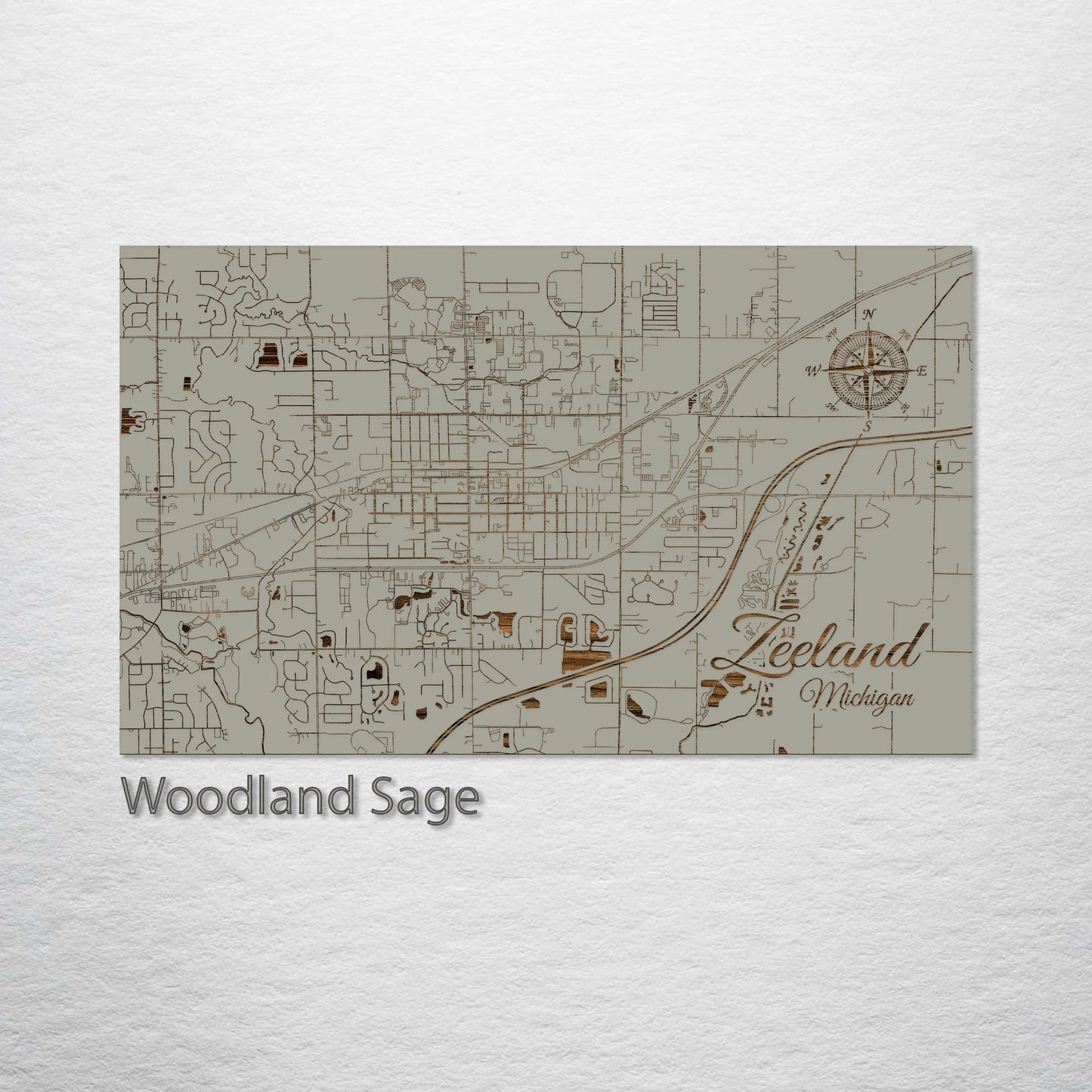 Zeeland, Michigan Street Map