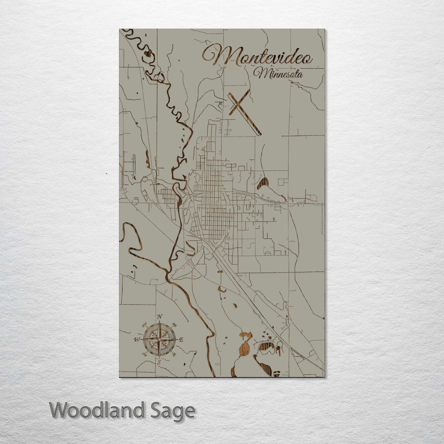 Montevideo, Minnesota Street Map