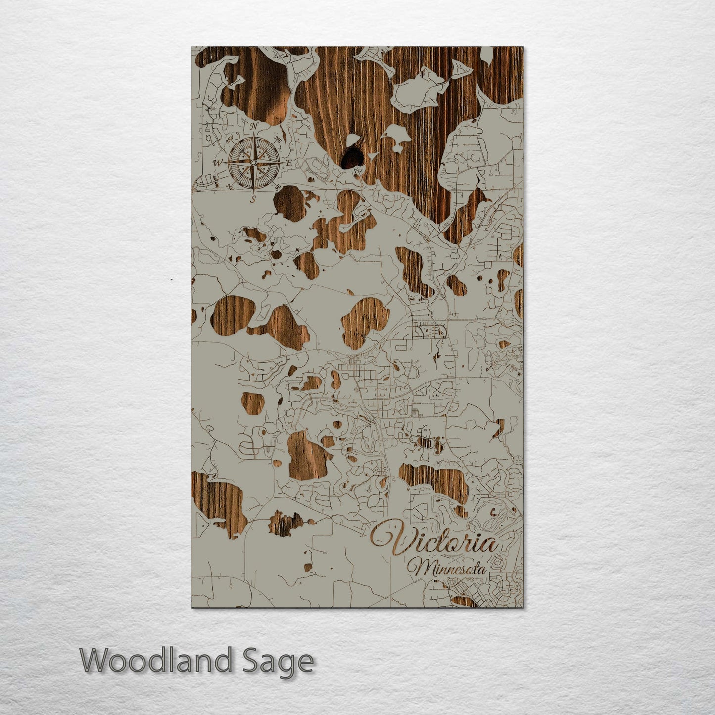 Victoria, Minnesota Street Map