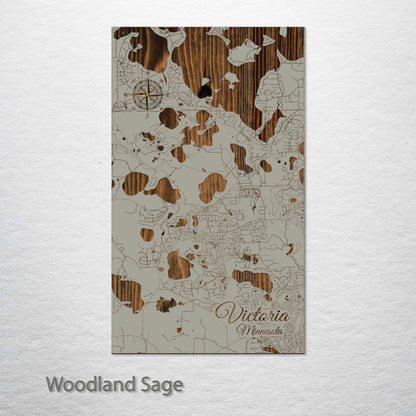 Victoria, Minnesota Street Map