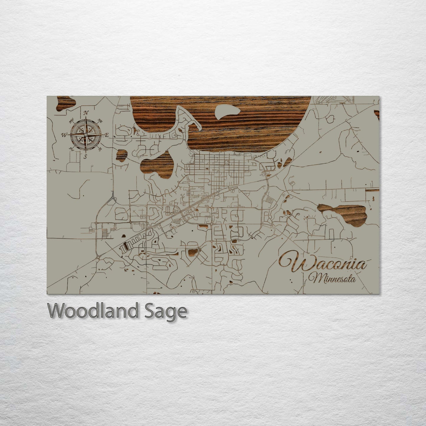 Waconia, Minnesota Street Map