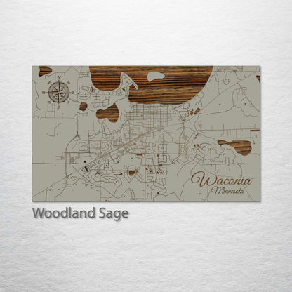 Waconia, Minnesota Street Map