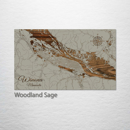 Winona, Minnesota Street Map