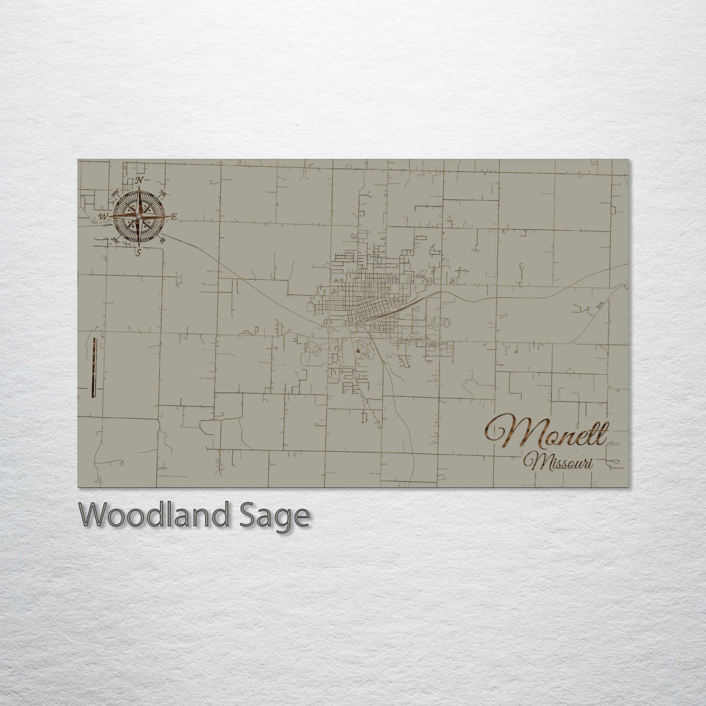 Monett, Missouri Street Map