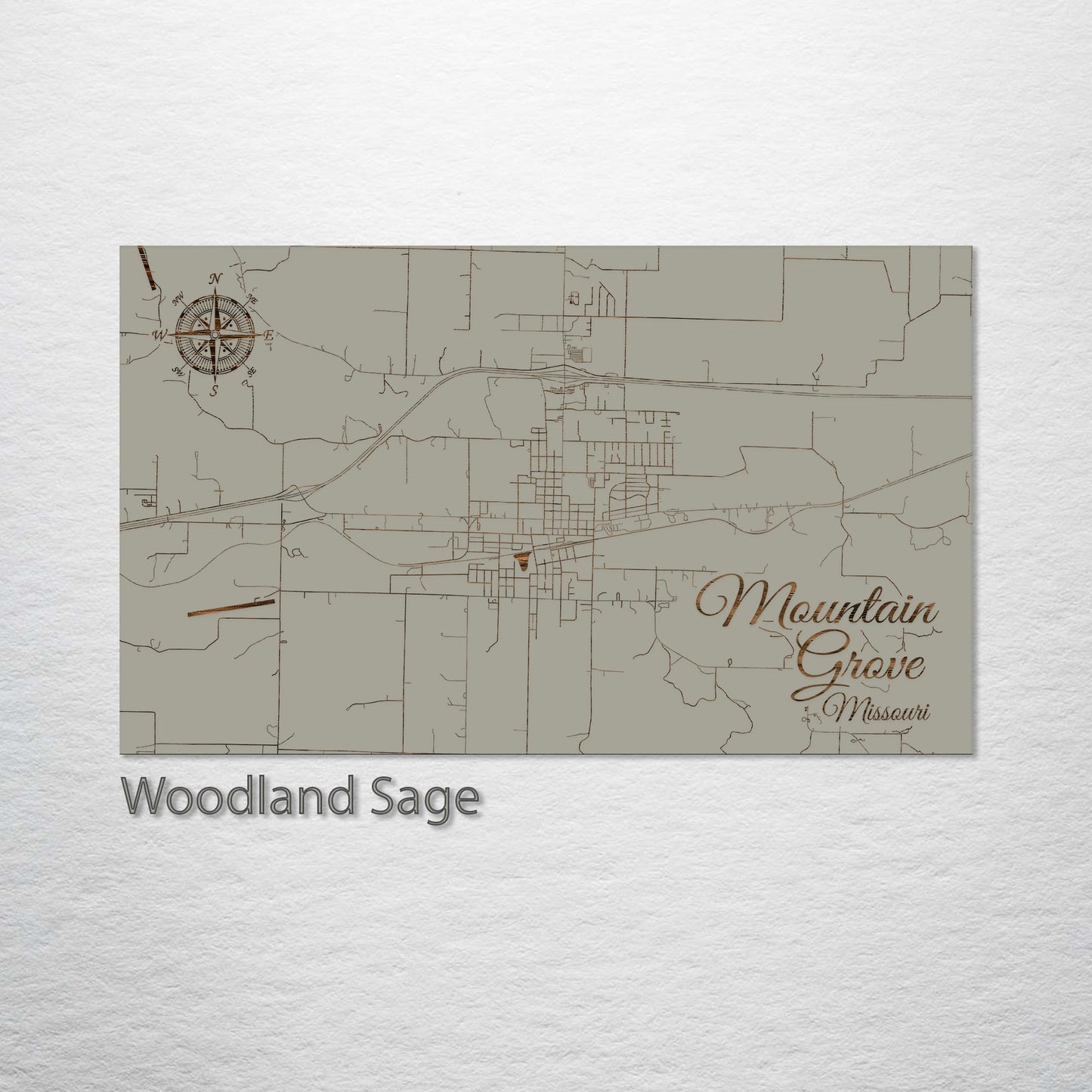 Mountain Grove, Missouri Street Map