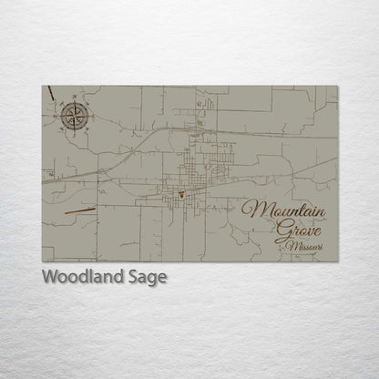 Mountain Grove, Missouri Street Map