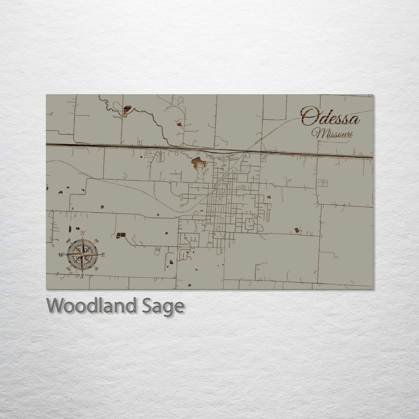 Odessa, Missouri Street Map