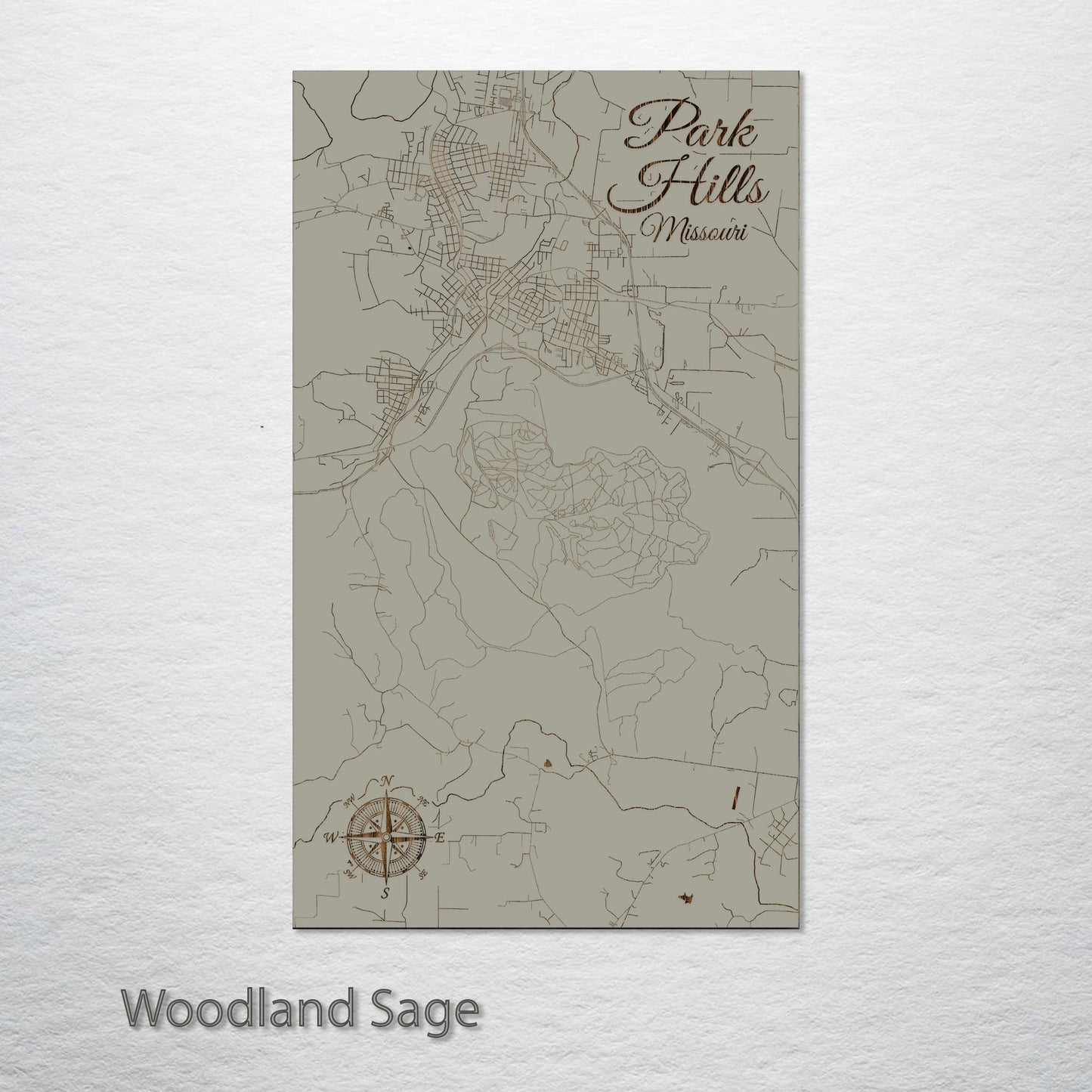 Park Hills, Missouri Street Map