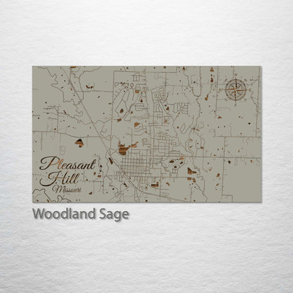 Pleasant Hill, Missouri Street Map