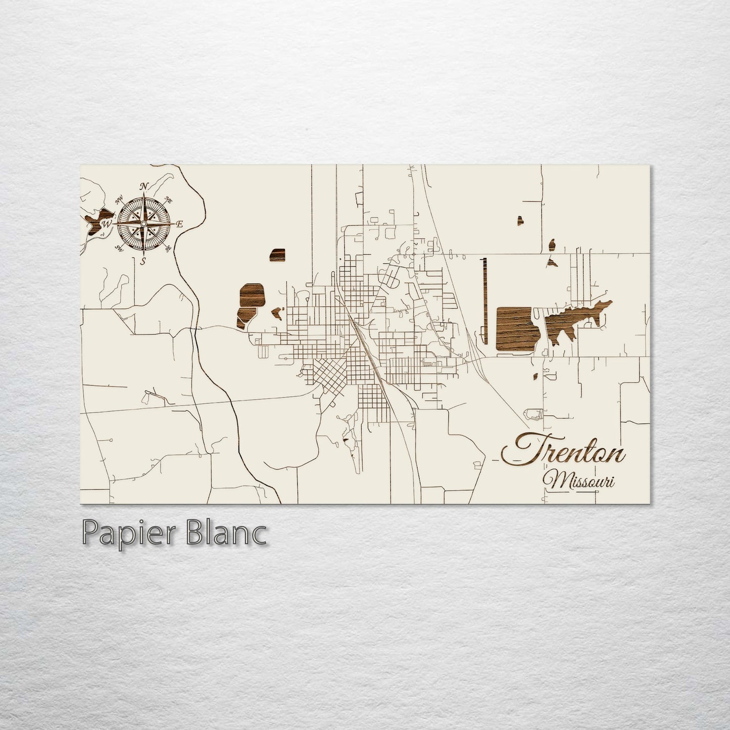 Trenton, Missouri Street Map