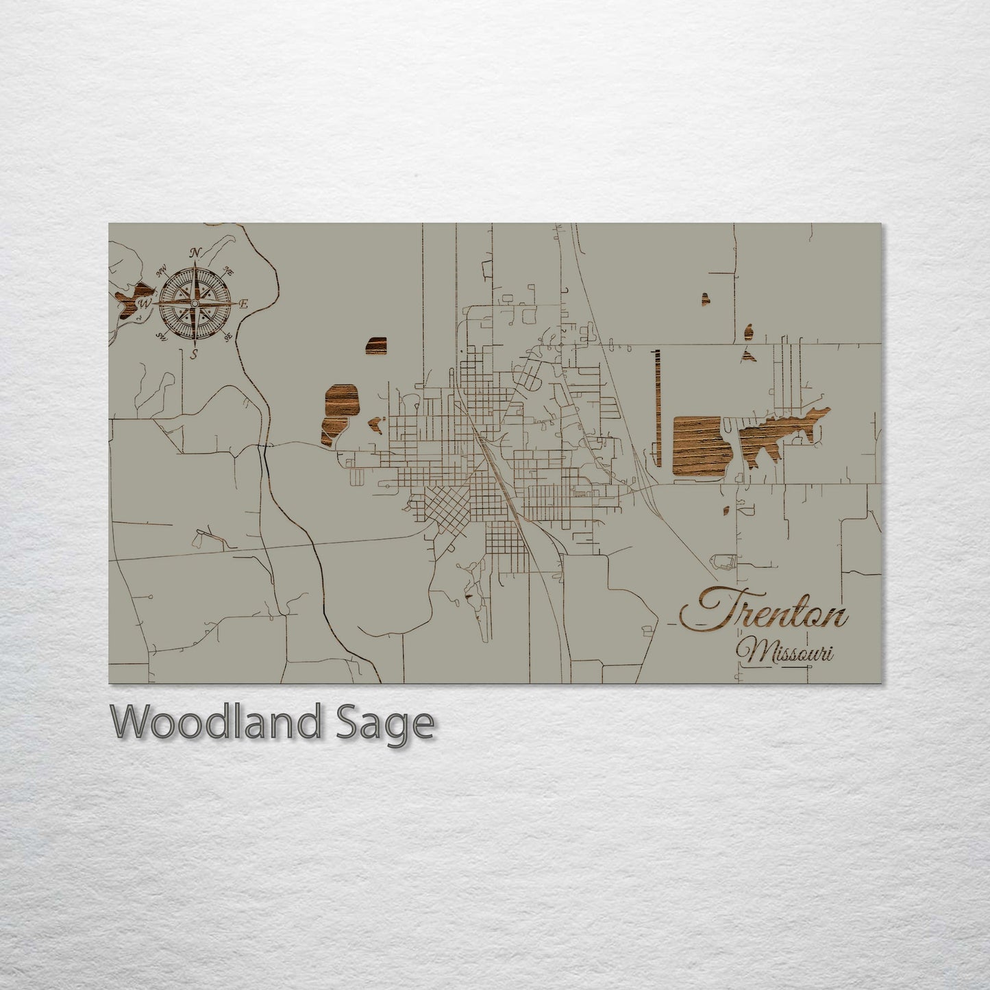 Trenton, Missouri Street Map