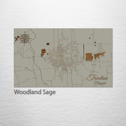 Trenton, Missouri Street Map