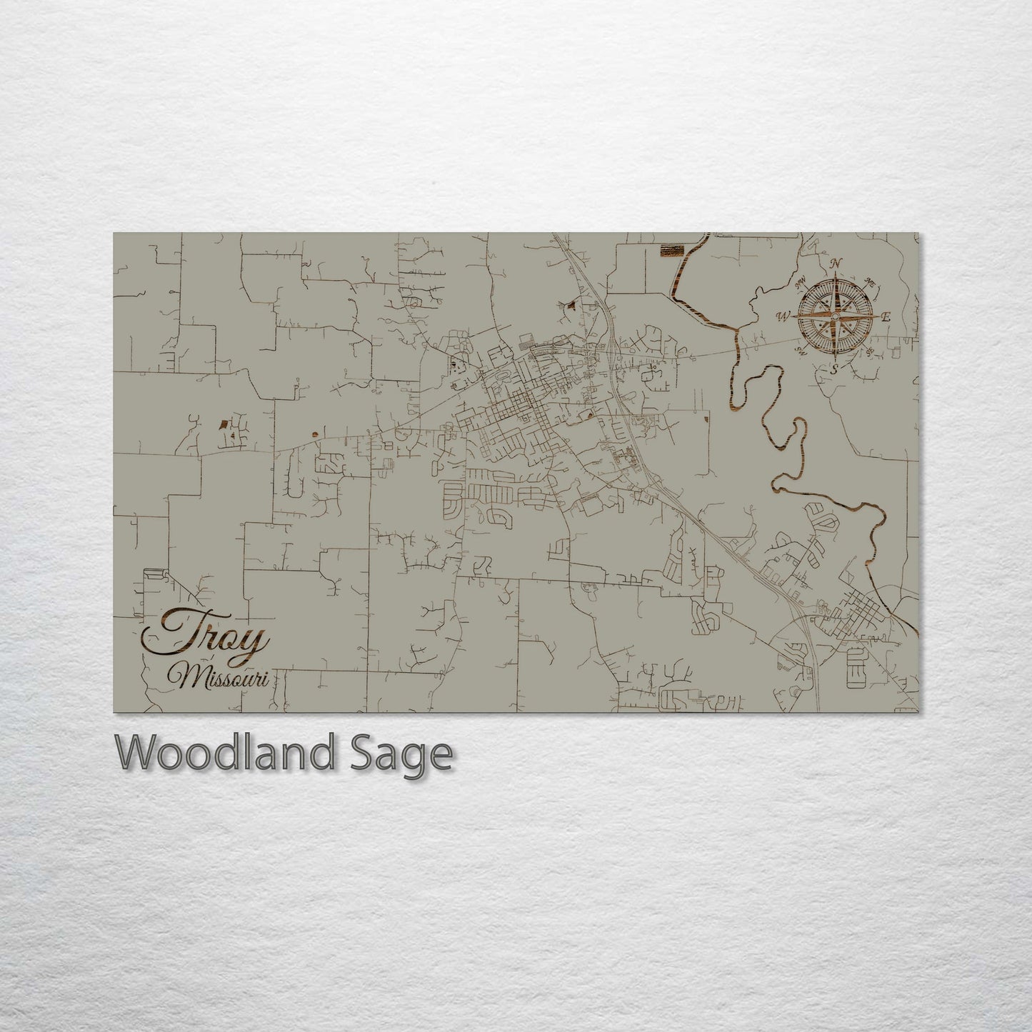 Troy, Missouri Street Map