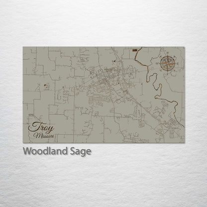 Troy, Missouri Street Map