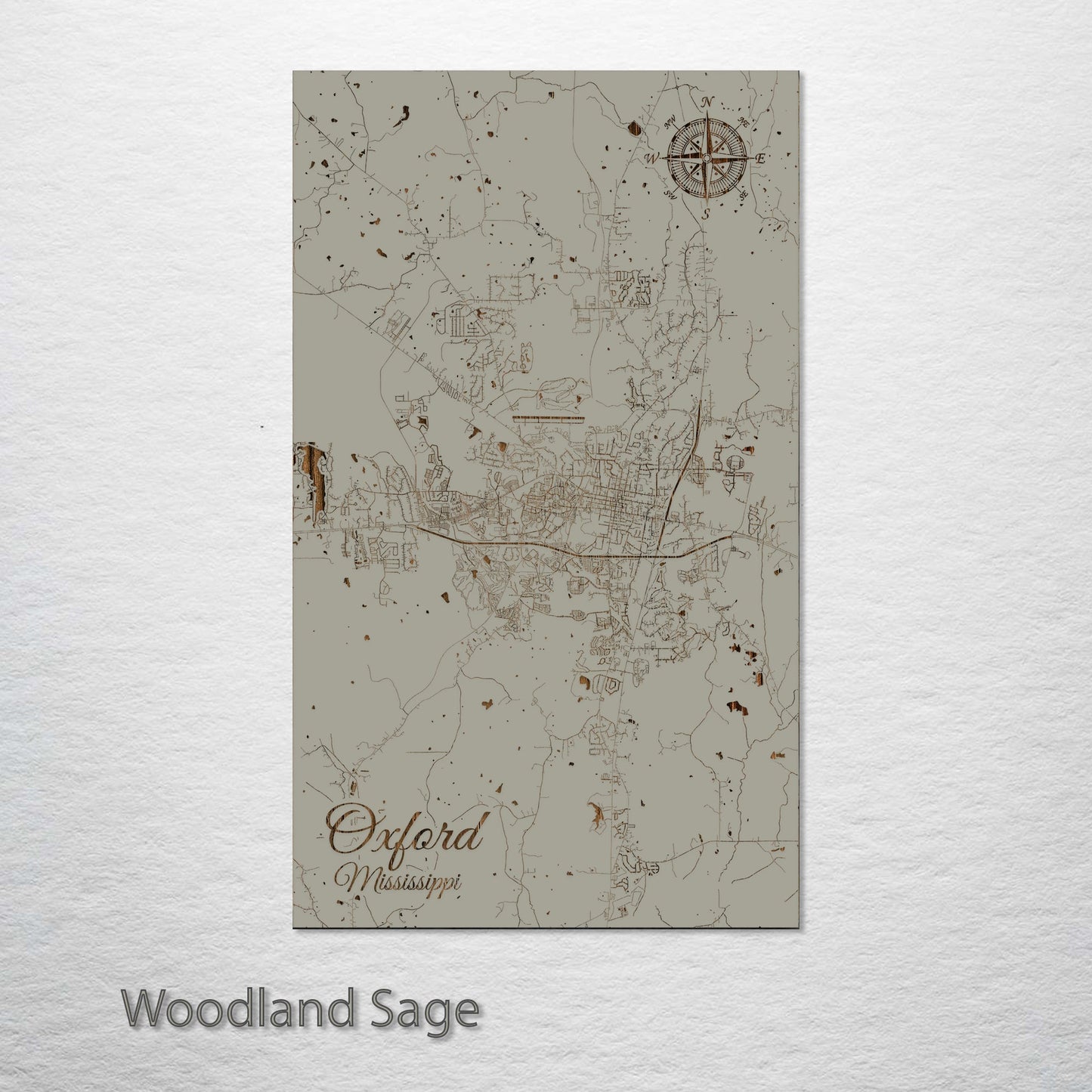 Oxford, Mississippi Street Map