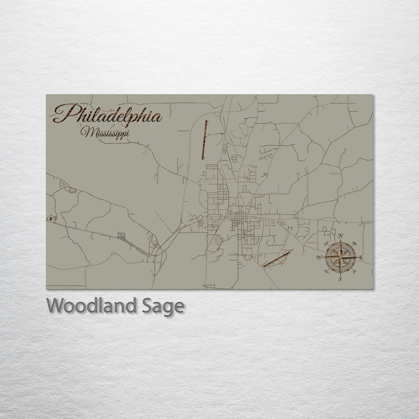 Philadelphia, Mississippi Street Map