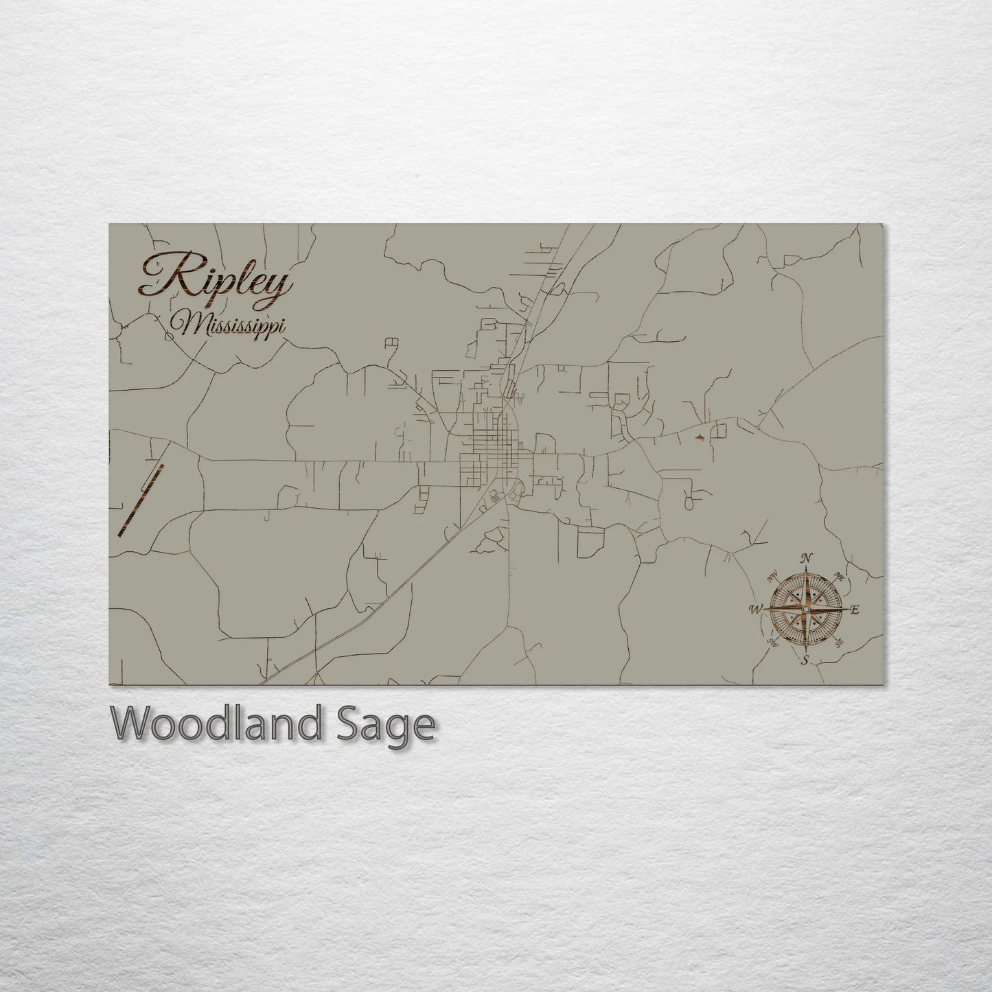 Ripley, Mississippi Street Map