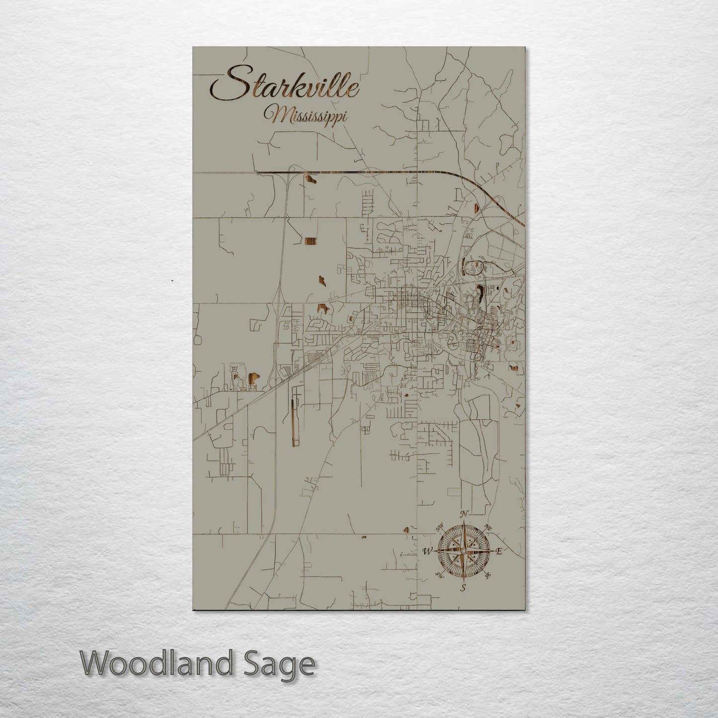 Starkville, Mississippi Street Map