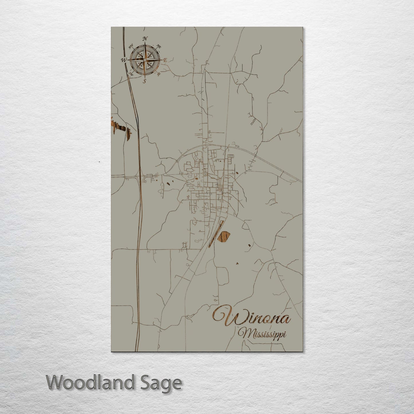 Winona, Mississippi Street Map