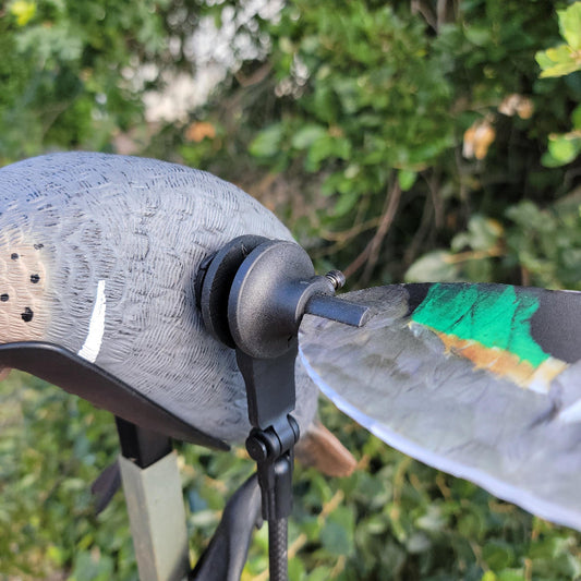 Animator V2 for Mojo Elite Series Teal GWT & BWT