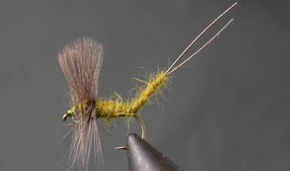 Extended Body Mayfly
