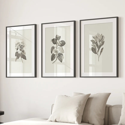 Antique Floral Prints 3 Piece Wall Art Decor