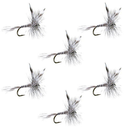 Mosquito Classic Trout Dry Fly - Set of 6 Flies Size 20