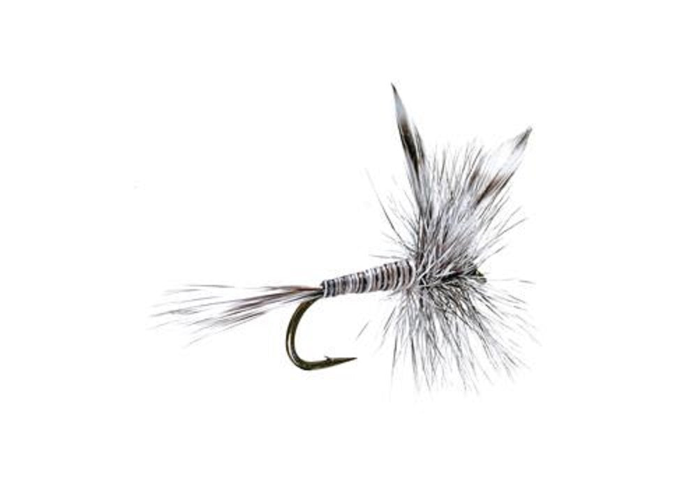 Mosquito Classic Trout Dry Fly - 12 Flies Size 20