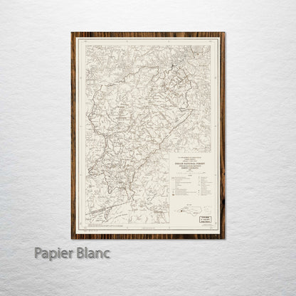 Pisgah National Forest, North Carolina Street Map