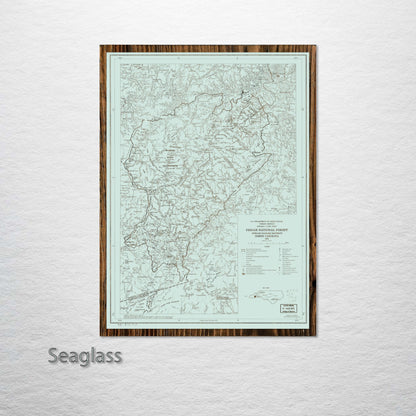 Pisgah National Forest, North Carolina Street Map