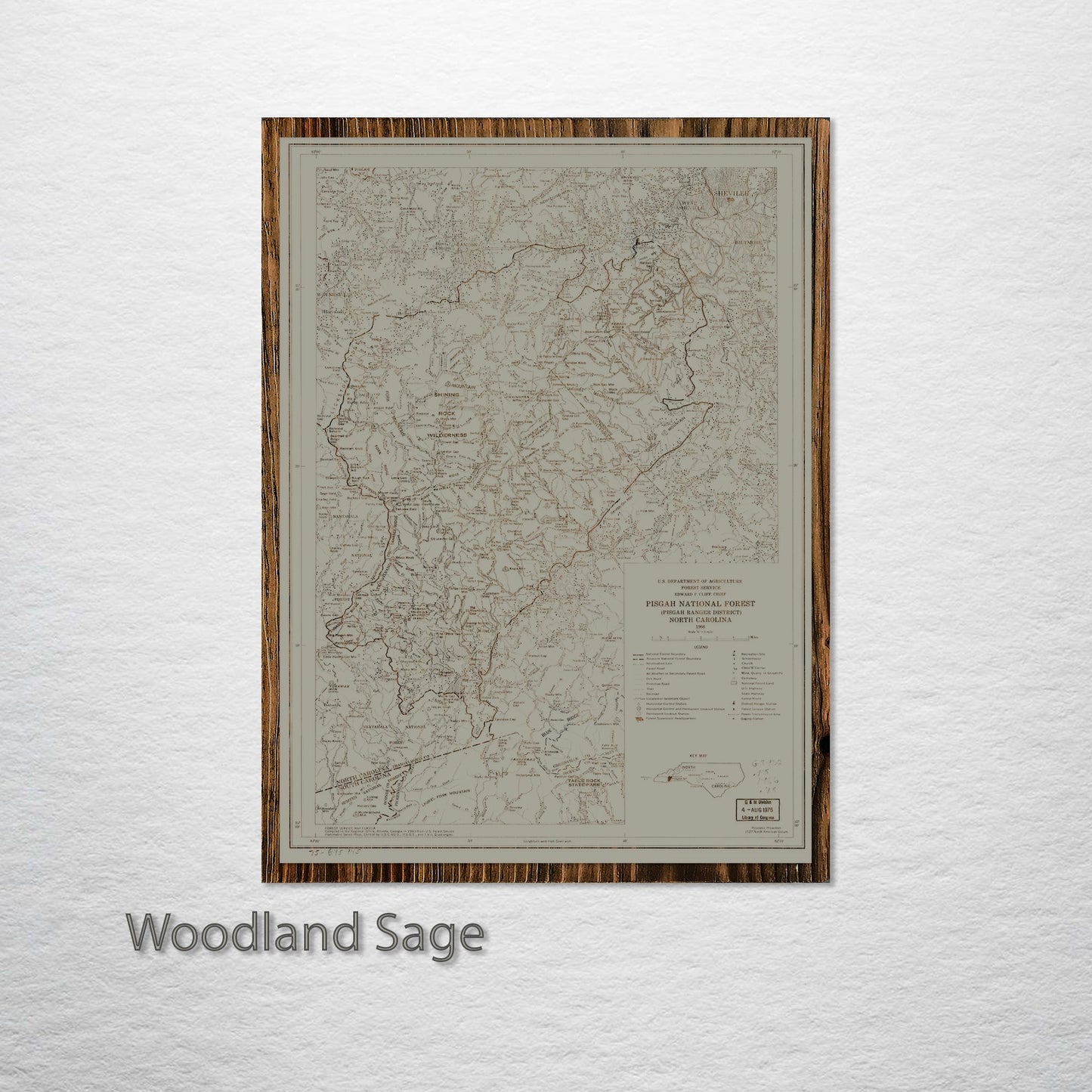 Pisgah National Forest, North Carolina Street Map
