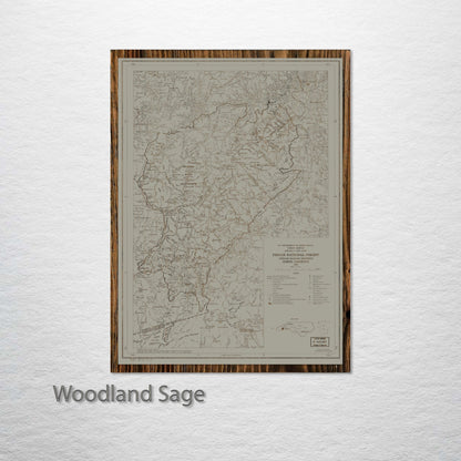 Pisgah National Forest, North Carolina Street Map
