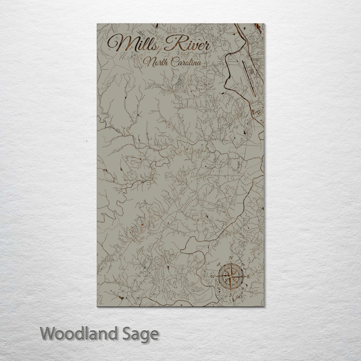 Mills River, North Carolina Street Map