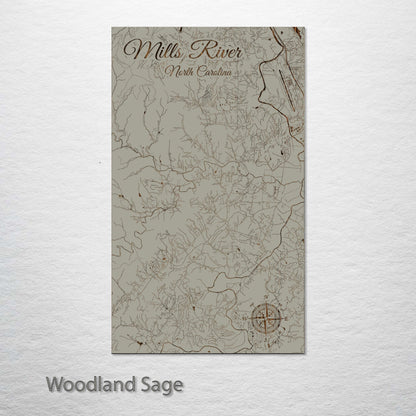 Mills River, North Carolina Street Map