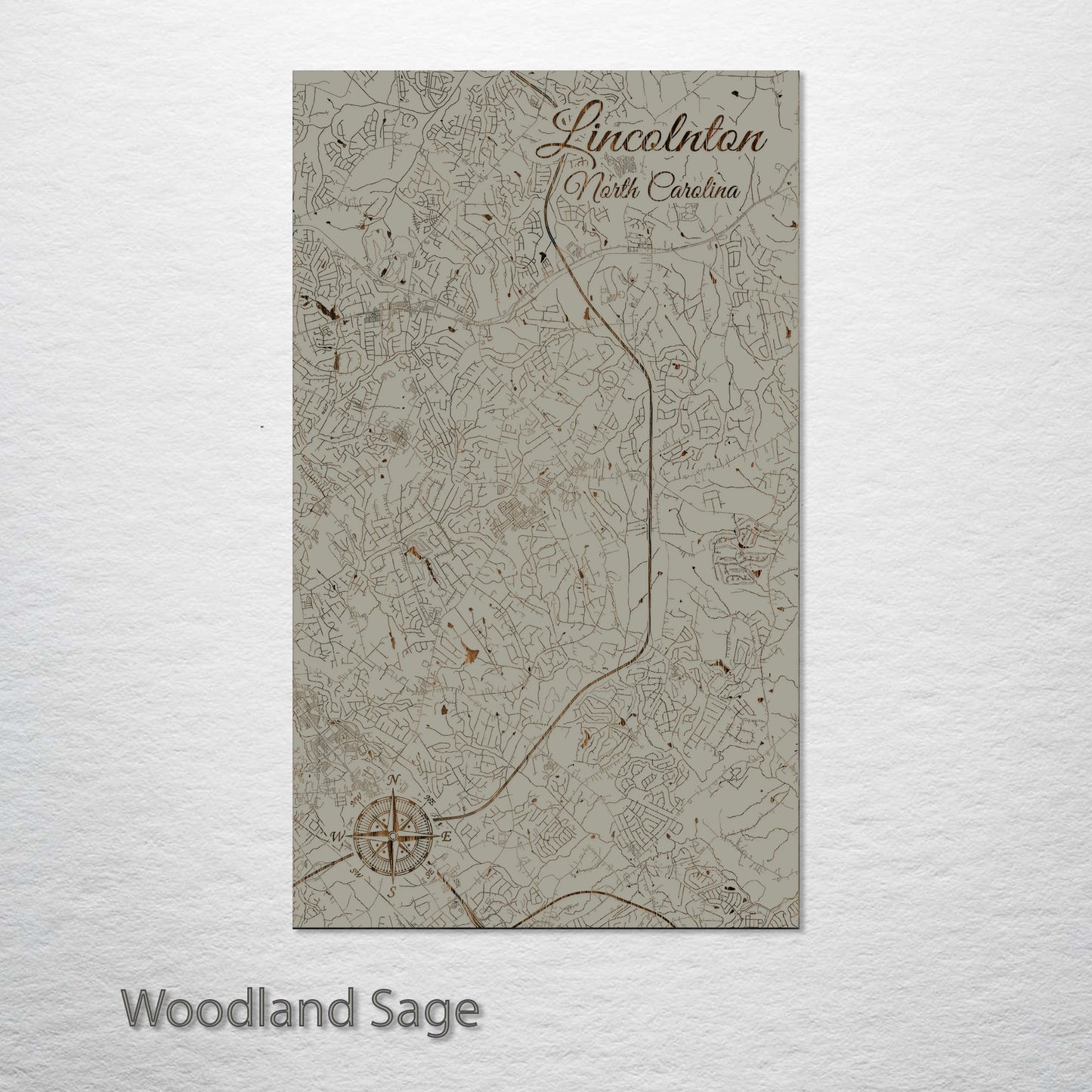 Mint Hill, North Carolina Street Map