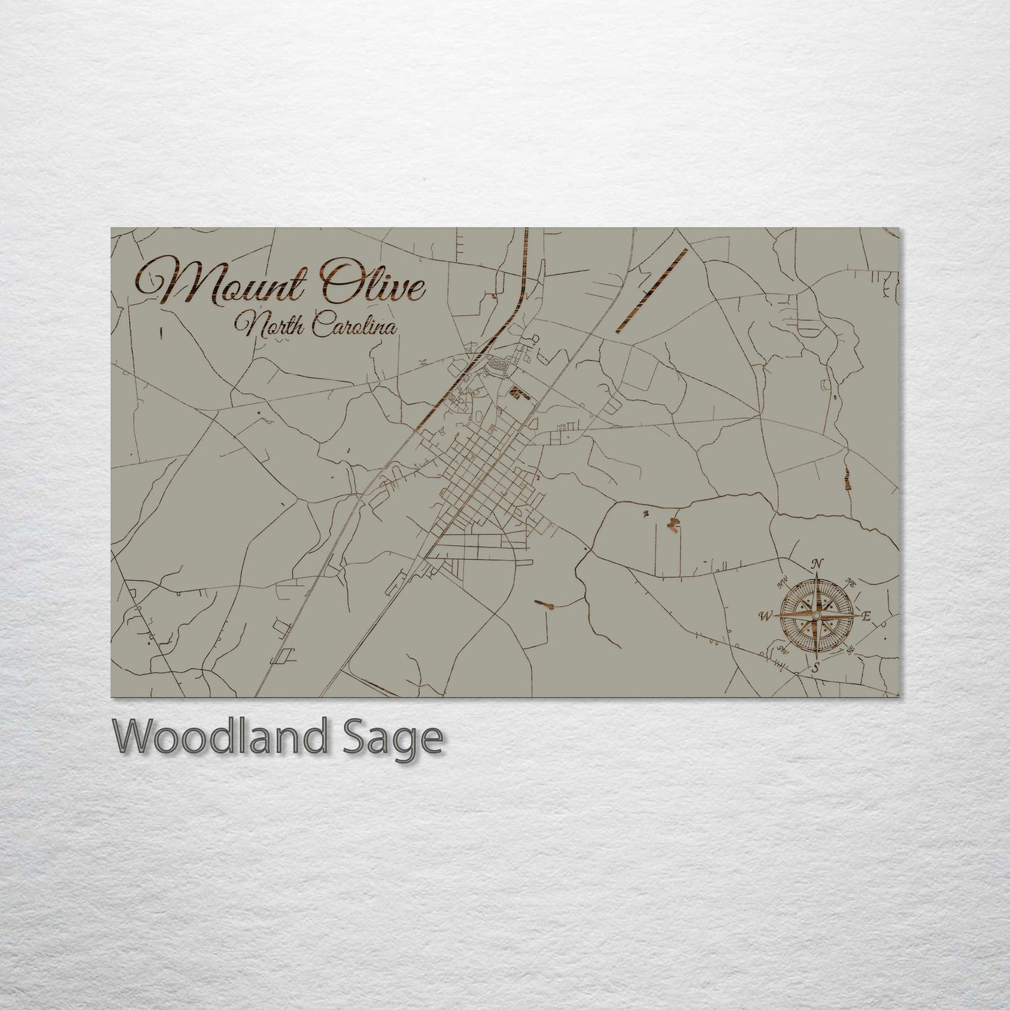 Mount Olive, North Carolina Street Map