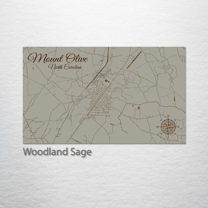 Mount Olive, North Carolina Street Map