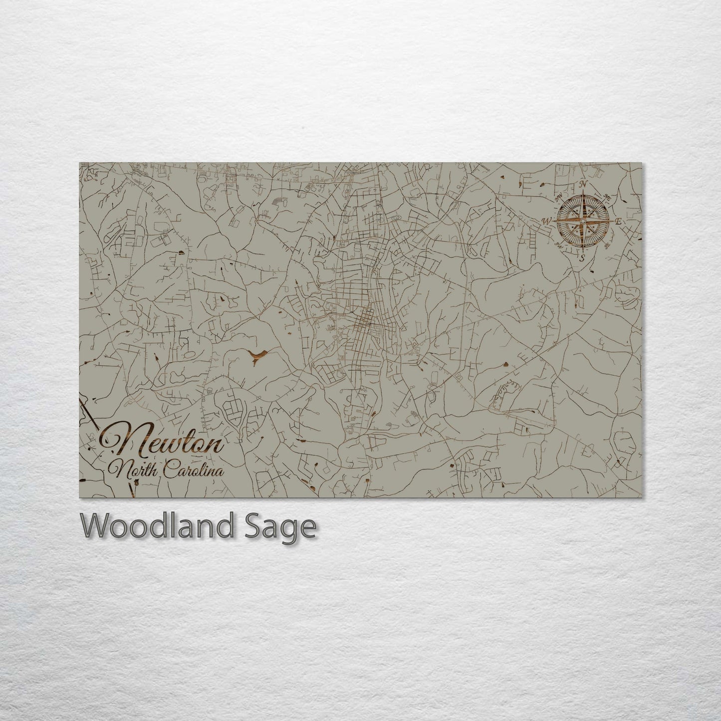 Newton, North Carolina Street Map