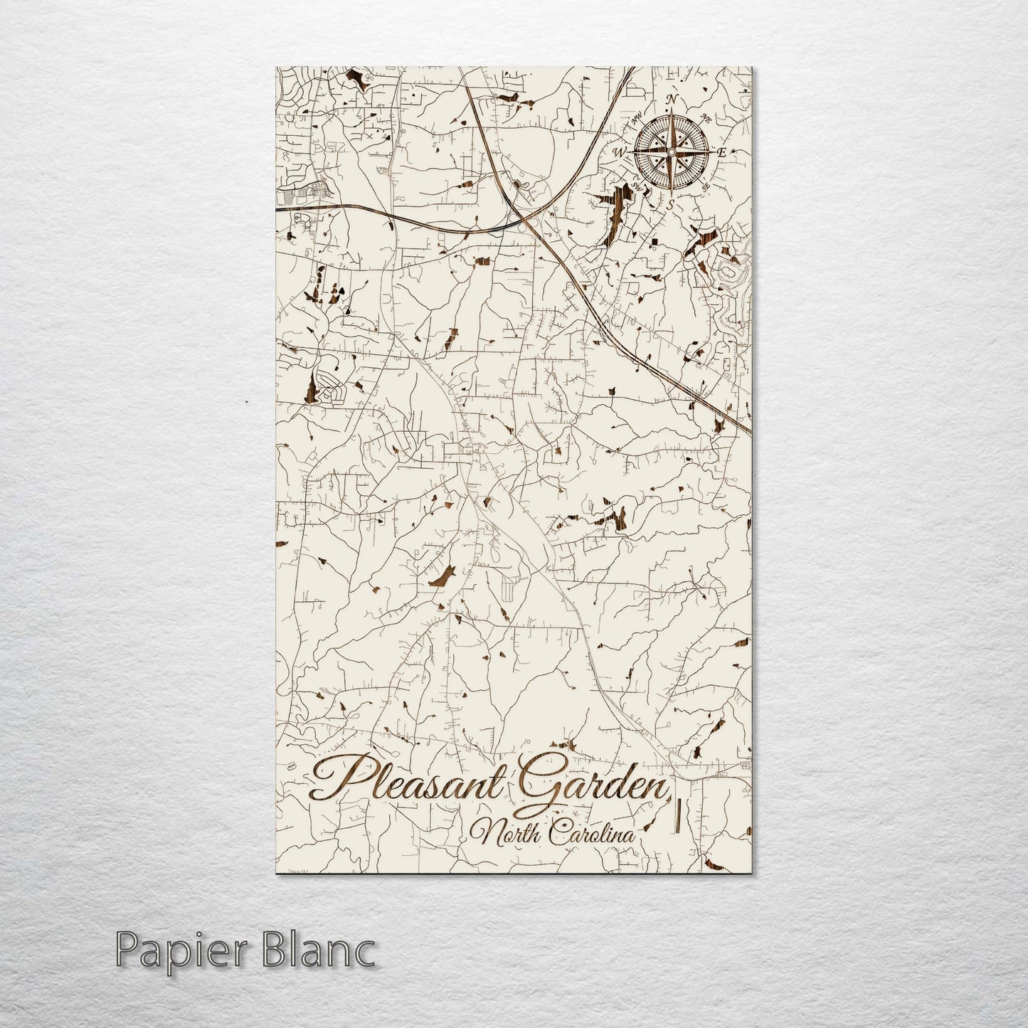 Pleasant Garden, North Carolina Street Map