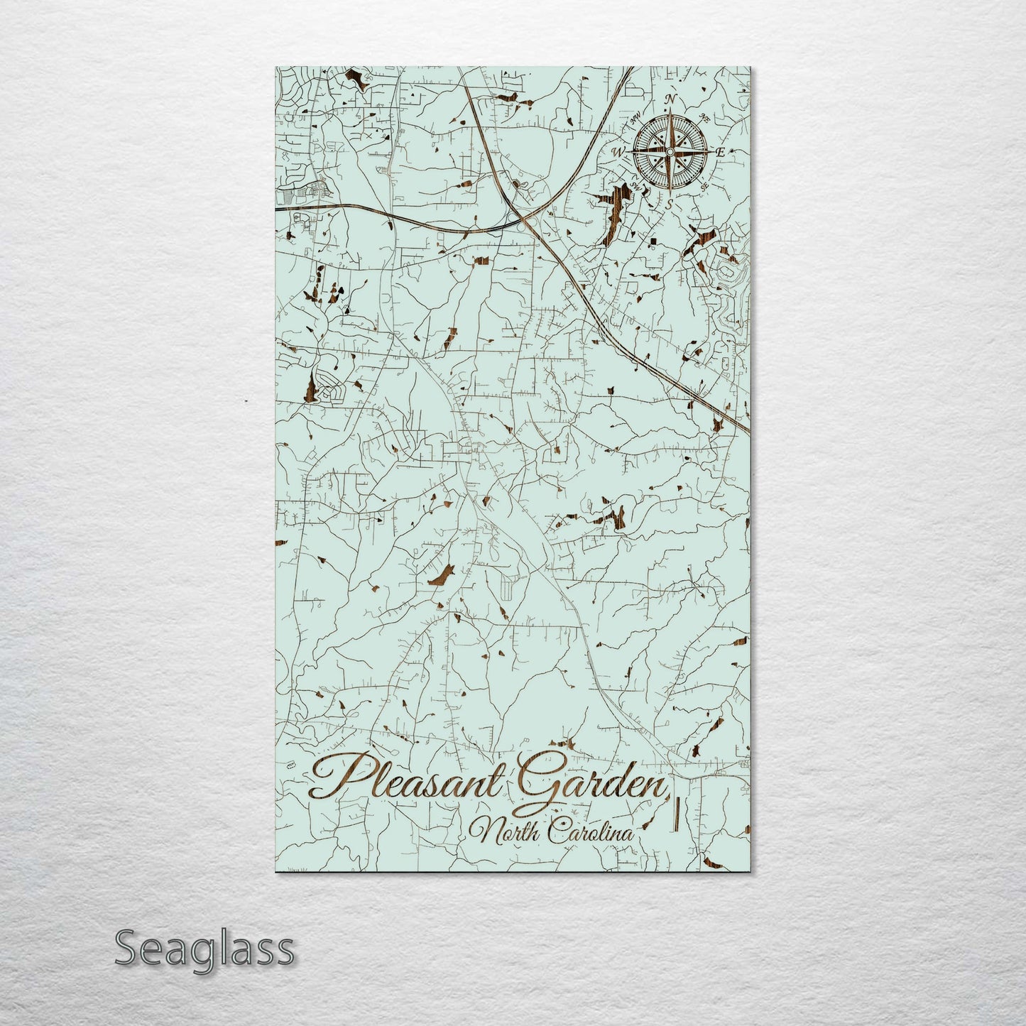 Pleasant Garden, North Carolina Street Map