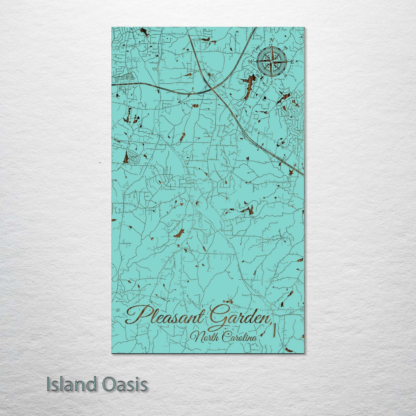 Pleasant Garden, North Carolina Street Map