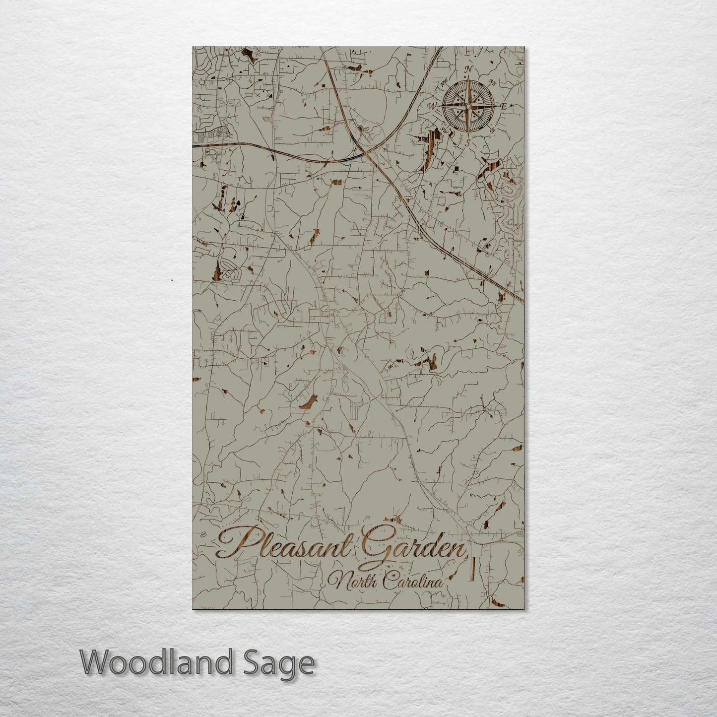 Pleasant Garden, North Carolina Street Map