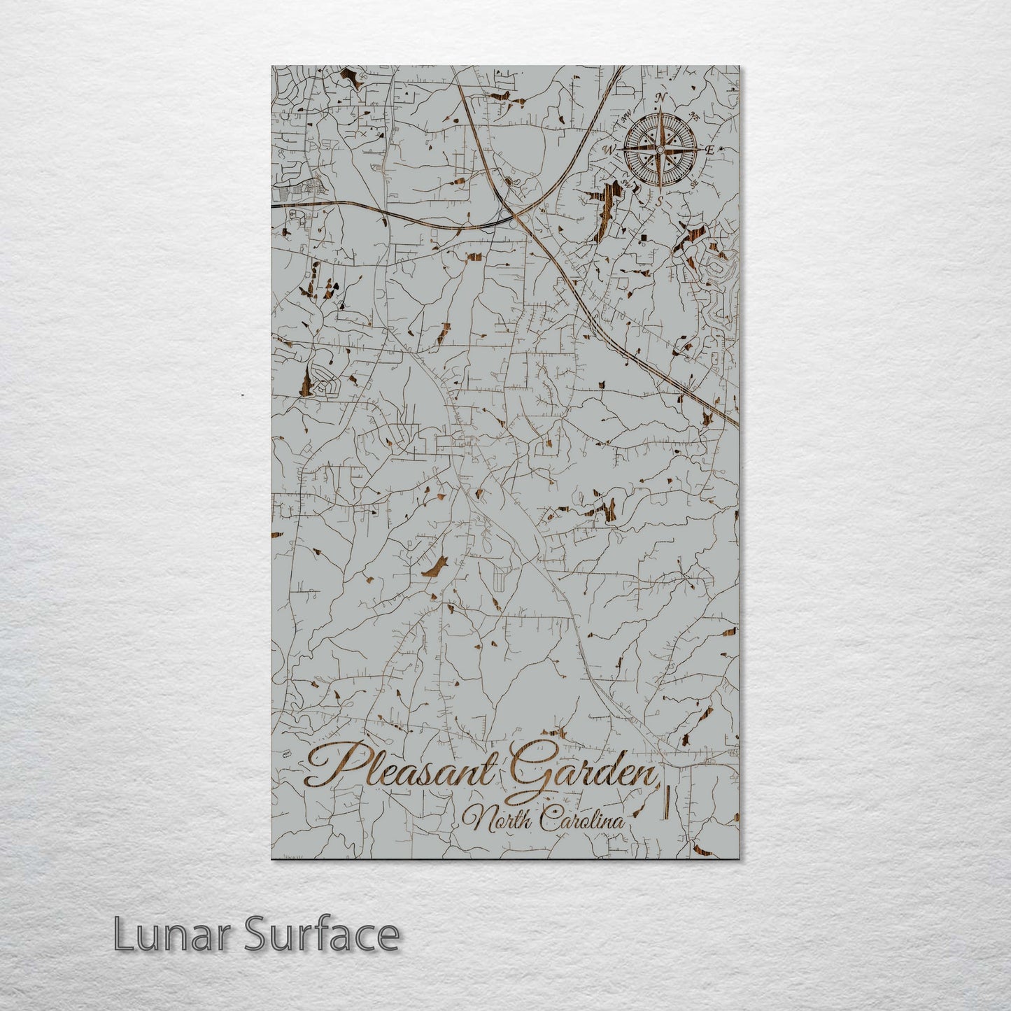 Pleasant Garden, North Carolina Street Map